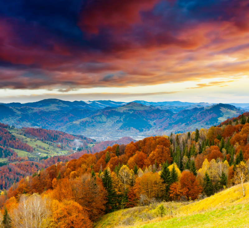 nature
